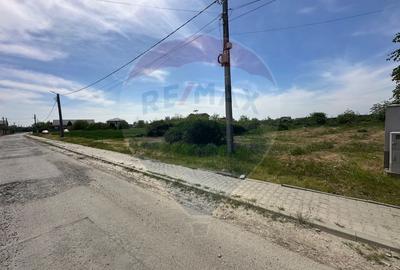 Teren 545,000mp Dragomiresti-Vale - 15