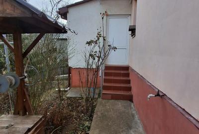 CASA INDIVIDUALA  in sat VLADICENI com. TOMESTI - 5