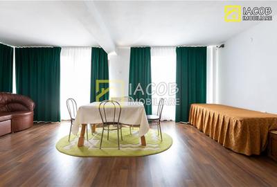 Vila/Pensiune D+P+E+M cu multiple functionalitati: locuit, HoReCa, turism, camin - 6