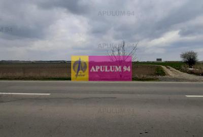 Teren Intravilan  cu front stradal la un Drum Principal langa București - 40