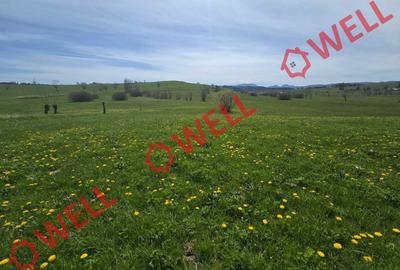 De vânzare teren extravilan în Sărămaș! - 2