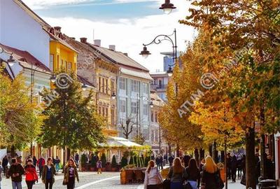 Spatiu comercial cu destinatie alimentatie publica zona Balcescu - 4
