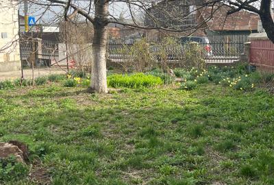 Casa Gheorghe Doja de vânzare - 2