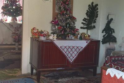 Anunț Vânzare Proprietate Rurală – sat Bușca, comuna Mihăiești, județul Olt - 14