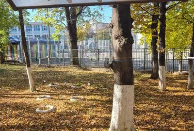 Apartament 2 camere renovat Piata Resita - 8