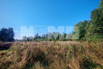 TEREN INTRAVILAN | FRATĂUȚII NOI | 1.1 HA - 8