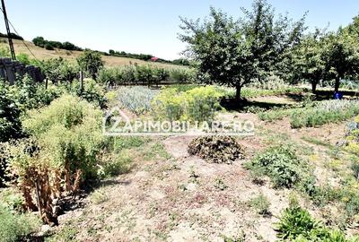 Teren intravilan 1.300 mp.zona Belvedere Targu Mures - 11