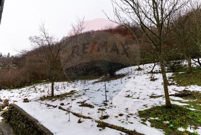 Casă de vanzare,Sacaramb jud. Hunedoara - 20