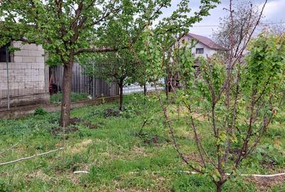 Teren intravilan 1244 mp/ Vama Veche - 1