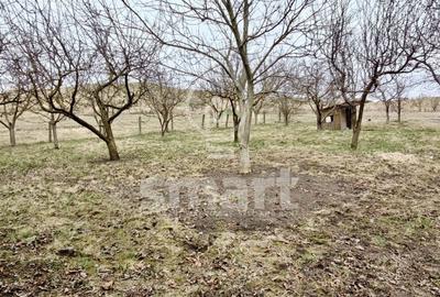 Teren autorizat Borhanci - 4