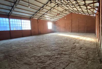 Hala/Depozit/Spatiu industrial/comercial de inchiriat - 216 MP, Husi, Vaslui - 1