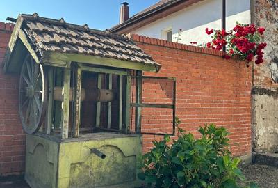 Casa de vanzare la sosea in Girbovat, langa Bozovici, 5 camere - 6