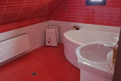 Casa spatioasa cu curte si gradina, Orasul Avrig - 9
