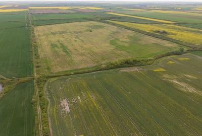 Teren investițional strategic 44.700 mp Arad Vest - 19