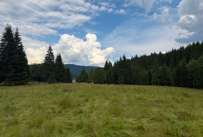 PARCELE DE VÂNZARE, pe malul râului BÂSCA, COMANDAU, COVASNA - 9