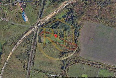 Teren de vânzare – 11.273 mp – zona Plopi, Timișoara Sud. - 5