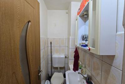 Apartament 3 camere,Zona Lipovei,Etaj 2, Mobilat si Utilat Complet, Garaj - 10