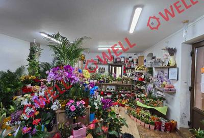 De vânzare spațiu comercial in centrul orasului Baraolt - 6