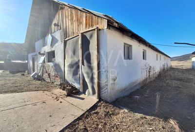Ferma complet echipata de vanzare – zona Agnita, judetul Sibiu - 7