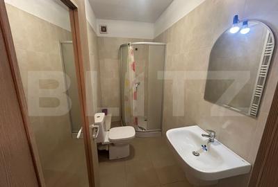Apartament 3 camere, 100 mp, LIDL Lunca Cetatuii - 12