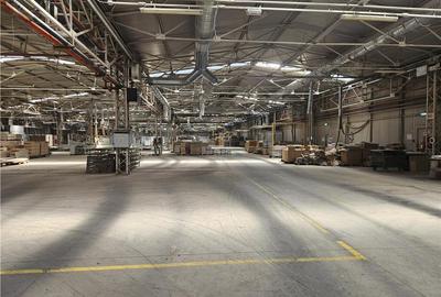 Spatiu Industrial - 5000 mp - Productie - Depozitare - 22