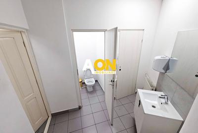 Spatii de birouri, suprafata flexibila, 12 euro/mp, utilitati incluse. - 19