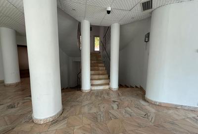 Spațiu comercial, de 235 mp, în Calea Călărașilor