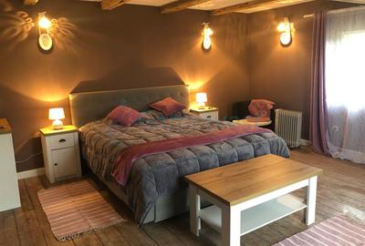 Casa de vacanta cu 4 camere, de vanzare, in Zece Hotare , judet Bihor - 1