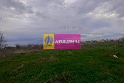 Teren 1055 MP București Sector 4 cu Certificat de Urbanism - 47