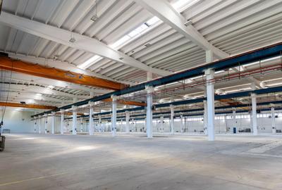 Spațiu industrial de 20,569mp de vânzare - 11