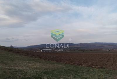 Teren cu deschidere la DN13 Maierus, Brasov - 10
