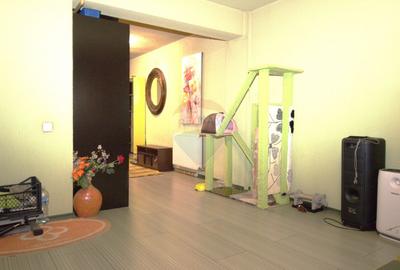 Apartament generos 88mp cu 2 camere de vanzare  Drumul Taberei - 18