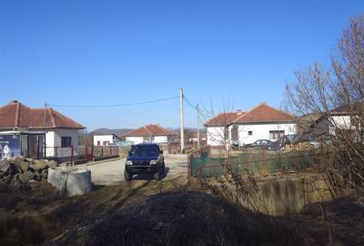Teren intravilan la liziera padurii - 11