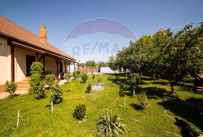 Casă cu 3 apartamente, piscină și 1000 mp teren, vânzare/schimb Turnu - 3