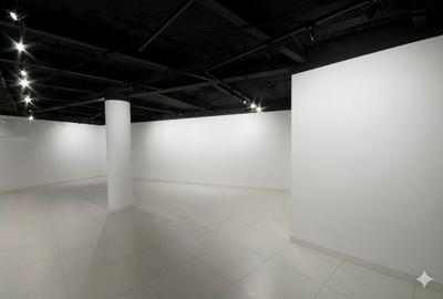 Spatiu pentru expozitii, galerie de arta - Romana - 3