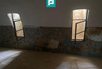 Conac nobiliar de secol XIX cu 8 camere în Maciova - 22