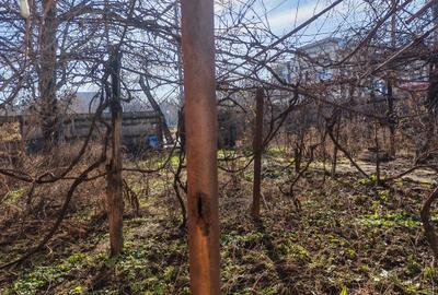 Teren ideal constructii in Pajura - 4