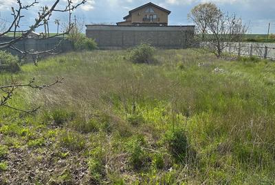 TEREN  INTRAVILAN CU  O GEOMETRIE IDEALA PENTRU CONSTRUCTIA UNEI CASE - 4