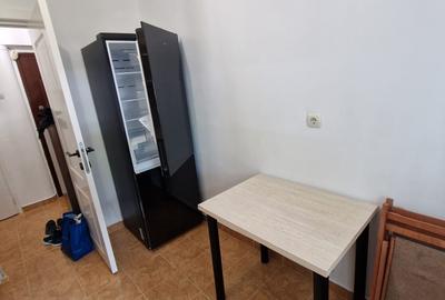 Apartament 2 camere Costin Georgian - 9