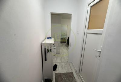 Apartament 2 camere, 30 mp, cartier Valea Rosie, zona Pietei - 8