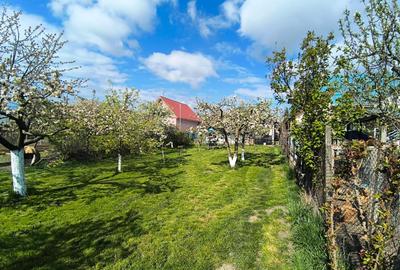 Vilă + Teren Generos 1400 MP | Burdujeni – zona Penny - 42