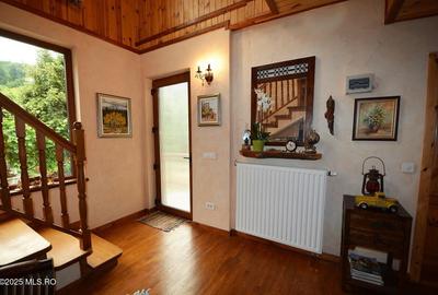 Campulung - Leresti, casa de munte, teren 5503 mp! - 3