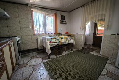 Casă 4 camere plan parter cu beci și anexe + 720 mp curte - 13