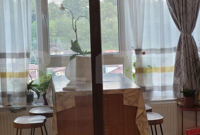 Apartament de vanzare, cu 3 camere, 66 mp, zona Pacurari - 3