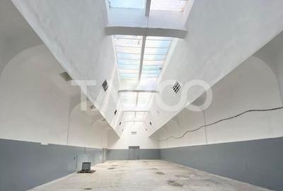 Spațiu industrial, de 300.00 mp, în Cisnădie