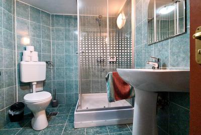 CASA VILA DE VIS PE VALEA DOBARLAULUI - JUD. COVASNA - 19