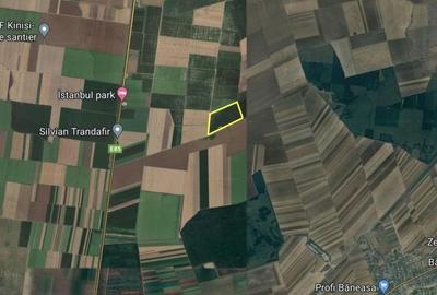 SUPER OCAZIE SE VINDE TEREN ARABIL INTRAVILAN 28 HA IN ZONA BANEASA GIURGIU - 1
