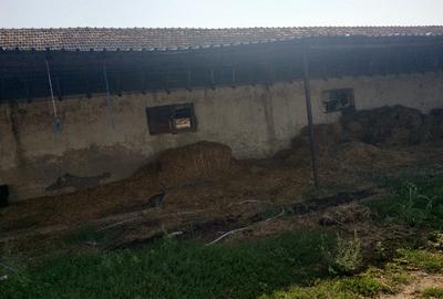 Ferma cu hale 3000 mp si teren 12000 mp, 30 km de Constanta - 9