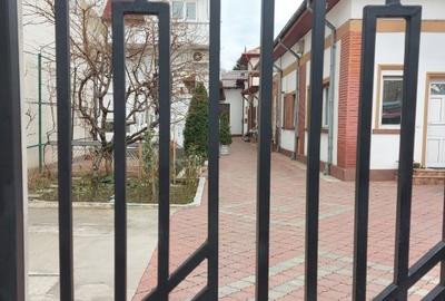 COTROCENI - Aici a visat și a creat pictorului Zamfir DUMITRESCU - 1