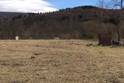 Oportunitate de investitie - 1